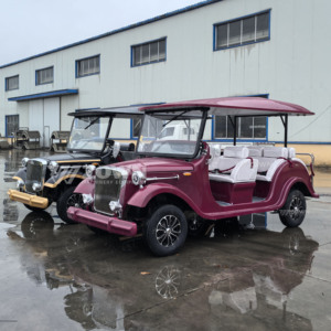 Voiture électrique classique rétro homologuée CE, 6 places, alimentée par batterie, pour parcs d'attractions et zones touristiques - Product Image 1