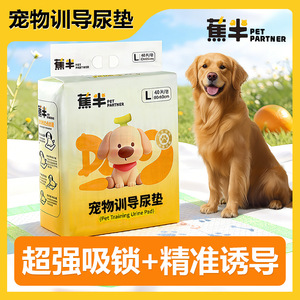 Pet <b>Pee</b> <b>Pad</b> Bamboo Fiber Absorbent Disposable Puppy Training Diapers Normal Specifications China Made - Product Image 4