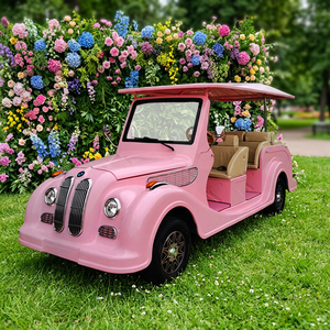 Venta al por Mayor a Precio Económico, Auto Clásico Eléctrico Rosa de Alto Rendimiento - Product Image 1