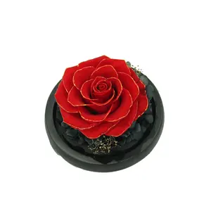 Hot Sale Valentinstag Geschenke konservierte Rose Blumen Hirsch Glas in Kuppel für Freundin oder Hochzeits dekor