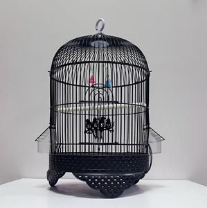 Nouvelle <span class=keywords><strong>Cage</strong></span> à Oiseaux Pliable Double Couche en Métal Premium pour Perroquets, Grand Format, Innovante, pour l'Élevage d'Oiseaux, Vente en Gros Directe Usine - Product Image 4