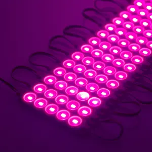 Módulos LED de 5 chips de 1,2 W, DC 12V DC, módulo LED Blanco/rojo/verde/azul/amarillo/rosa/Morado para letreros publicitarios, caja de luz