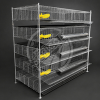 Nouvelle cage automatique à cailles à plusieurs niveaux en acier galvanisé avec mangeoire et abreuvoir pour élevage de cailles