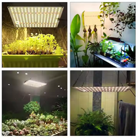 Lampu Tumbuh LED EVO 120W/150W/800W 3000K Spektrum Penuh untuk Berkebun Hidroponik Dalam Ruangan Sumber SMD Bodi Aluminium Berperingkat IP65 untuk Pembungaan