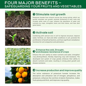 Acido umico fulvico polvere angelo Huang acido fulvico umico/acido fulvico fonte minerale granulare fertilizzante umato di potassio - Product Image 6