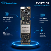 Techvision 1710R RK1828 Edge AI Accelerator 20 TOPS M.2 2280 NPU Co-Processor Modul AI Plug-and-Play untuk SMARC 2.1 SOMs