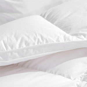 Autunno Queen Size Hotel casa biancheria da letto morbida e confortevole trapunta da letto <span class=keywords><strong>matrimoniale</strong></span> inverno piumino e piumino per Hotel a casa - Product Image 6
