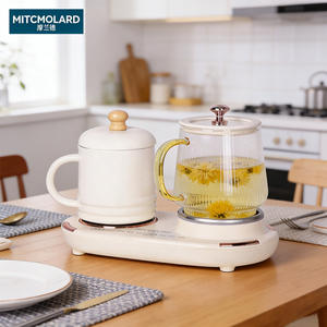 <span class=keywords><strong>Bouilloire</strong></span> électrique à double zone, théière, pot en céramique pour la préparation de boissons saines, nouvelle tendance 2026, contrôle de la <span class=keywords><strong>température</strong></span> domestique - Product Image 5