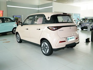 Véhicule électrique compact haute performance <span class=keywords><strong>Duomi</strong></span> modèle 2025, édition confort 305 km - Product Image 3