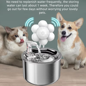 Distributeur d'<span class=keywords><strong>eau</strong></span> automatique pour <span class=keywords><strong>chat</strong></span> en acier inoxydable de 2,2 L, super silencieux, élégant, alimentation par charge, <span class=keywords><strong>fontaine</strong></span> à boire pour animaux - Product Image 6