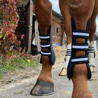 Protège-jambes de cheval robustes en PU élastique bleu, avec doublure intérieure épaisse et souple, pour la protection des tendons et l'absorption des chocs lors de l'équitation.