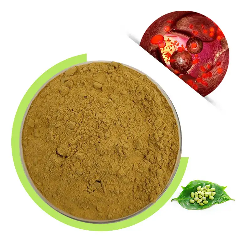 Polvo de extracto de grano de café verde natural 10-50% ácido clorogénico