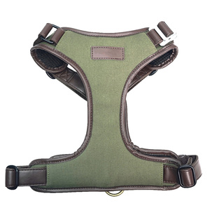 Arnés y Correa de Lujo para Perros Grandes, Color Personalizado Pantone, Hebilla Metálica Premium, Ajustable y Acolchado, Chaleco para Perro para Exteriores - Product Image 2