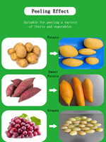 Industriële automatische grote schaal aardappelstoomschiller van 2 ton/uur voor diepvriesfrietlijnen