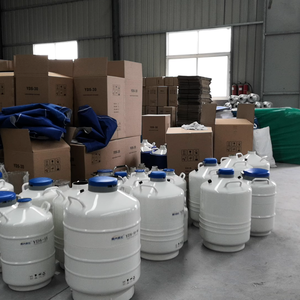 Contenedores de Presión de Nitrógeno Líquido <span class=keywords><strong>para</strong></span> Inseminación Artificial de Estallinos a Bajo Precio, Almacenamiento de Semen Equino, Productos de IA, Aluminio - Product Image 3