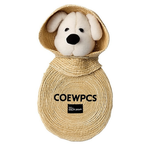 Bolso de paja con capucha para perro, 12x14cm, accesorio de playa para niños - Product Image 1