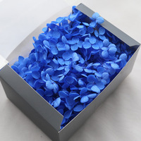 TC, venta al por mayor, flor natural preservada, boda, decoración del hogar, Día de San Valentín, Hortensia eterna de Anna para regalo de novia