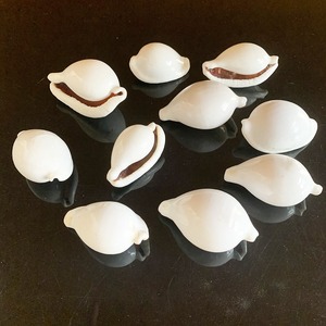 เปลือกหอยธรรมชาติสีขาวรูปกระต่ายสำหรับตกแต่งบ้านด้วยตัวเอง - Product Image 6