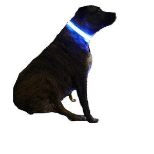 <span class=keywords><strong>Collar</strong></span> de perro con luz LED multicolor de lujo Flash <span class=keywords><strong>Glow</strong></span> Dark Solid Nylon Animal Print <span class=keywords><strong>Collar</strong></span> para mascotas para gatos - Product Image 1