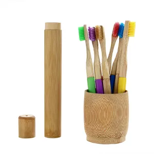10 Stuk Aangepaste Fabriek Verkoop Regenboog Bamboe Tandenborstel Met Vervangbare Heads