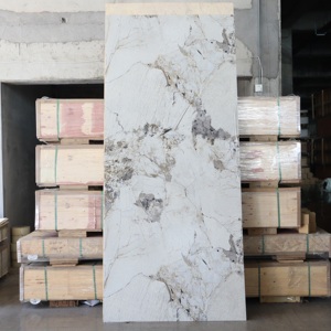 Panel de Pared de PVC Ligero, Impermeable y Fácil de Instalar con Textura de Mármol de Primera Calidad, Fabricante OEM/ODM para Interiores - Product Image 3