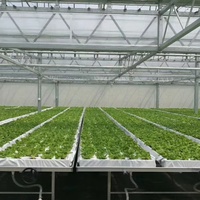 Filet hydroponique solution nutritive système nft ferme de champignons zip grow fraise planter NET tasses en verre couverture de serre