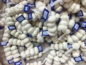 Poudre <span class=keywords><strong>d</strong></span>'<span class=keywords><strong>ail</strong></span> frais <span class=keywords><strong>Ail</strong></span> Ajo Alho Chine Fournisseurs <span class=keywords><strong>d</strong></span>'<span class=keywords><strong>ail</strong></span> <span class=keywords><strong>Afrique</strong></span> <span class=keywords><strong>du</strong></span> <span class=keywords><strong>Sud</strong></span> <span class=keywords><strong>Ail</strong></span> Légumes - Product Image 2