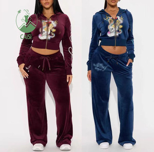 Nouveaux ensembles de survêtements en <span class=keywords><strong>velours</strong></span> tendance pour femmes, ensembles de sweats à capuche et pantalons de jogging pour femmes, ensembles deux pièces pour femmes - Product Image 1