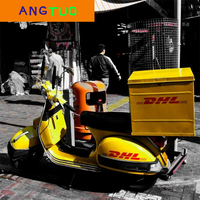 Expédition de marchandises surdimensionnées et de batteries au lithium DHL UPS FedEx DDP de Shenzhen vers le Cameroun, le Tchad, la République centrafricaine, le Gabon