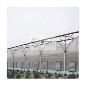 <span class=keywords><strong>Precio</strong></span> bajo y vendedor Superior Popular Invernadero de túnel polivinílico agrícola Multi Span Film Green House para cultivar vegetales - Product Image 4