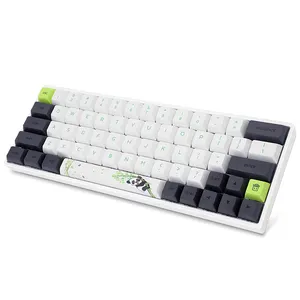 En iyi kalite fabrika doğrudan OEM oyun mekanik klavye gaz boya alt PBT keycaps 60% küçük klavye