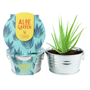 Promotion : Kit de culture miniature 100% biologique USDA d'Aloe Vera, Jardinière mignonne, <span class=keywords><strong>Jardin</strong></span> féerique, Collection de succulentes en aluminium pour la maison et les mariages - Product Image 1
