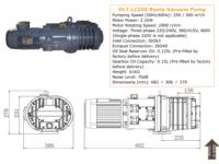 Bomba de Vacío de Hierro Fundido DLT LC250 de Baja Presión 250m³/h 2.2kW Trifásica Entrada ISO63 para Industria Química OEM Disponible