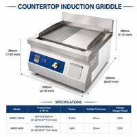 Plaque de cuisson électrique à induction commerciale en acier inoxydable 304 haute efficacité 5000W