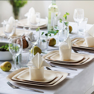 Disposable Bamboo Plates Square Natural Eco Friendly Biodegradable For Party Wedding - Product Image 1
