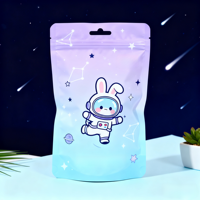 Sac surprise de Noël 12-en-1, sac cadeau surprise pour enfants, sac mystère chanceux pour l'école, cadeaux de fête de Noël et cadeaux éducatifs