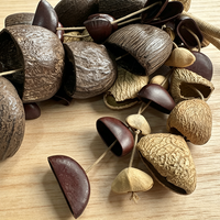 Shaker à quatre coquilles de graines mélangées, 53 pièces, fait main, en coquilles de noix naturelles, pour percussion manuelle et musique enregistrée