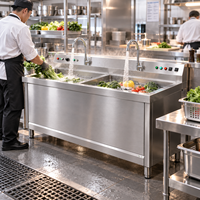 Évier commercial double bac en acier inoxydable pour le lavage de légumes et de vaisselle, idéal pour l'hôtellerie et la restauration (approvisionnement pour revendeurs)