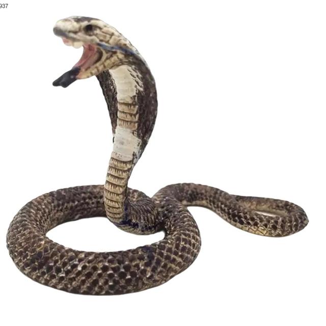 Animal Cobra Snake Toy Plastic Simulation Party Tricky Figurine Realistic Toy Snakes