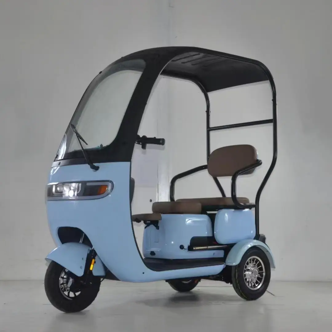 Triciclo eléctrico para adultos barato de China, triciclo de vehículo eléctrico de 3 ruedas para 2 personas