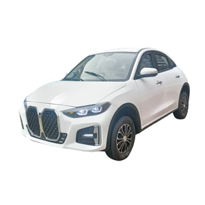 Mini Auto Eléctrico NVBWM X5 para Adultos con Autonomía de 101-200 km y Potencia de 3500 W - Product Image 1