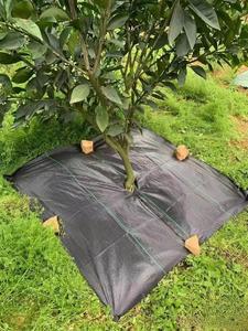 Tapis de paillage anti-mauvaises herbes en PP <span class=keywords><strong>pas</strong></span> <span class=keywords><strong>cher</strong></span> de l'usine YRH, toile paysagère, barrière agricole, couverture de sol <span class=keywords><strong>pour</strong></span> jardin et <span class=keywords><strong>serre</strong></span>, en rouleau - Product Image 6