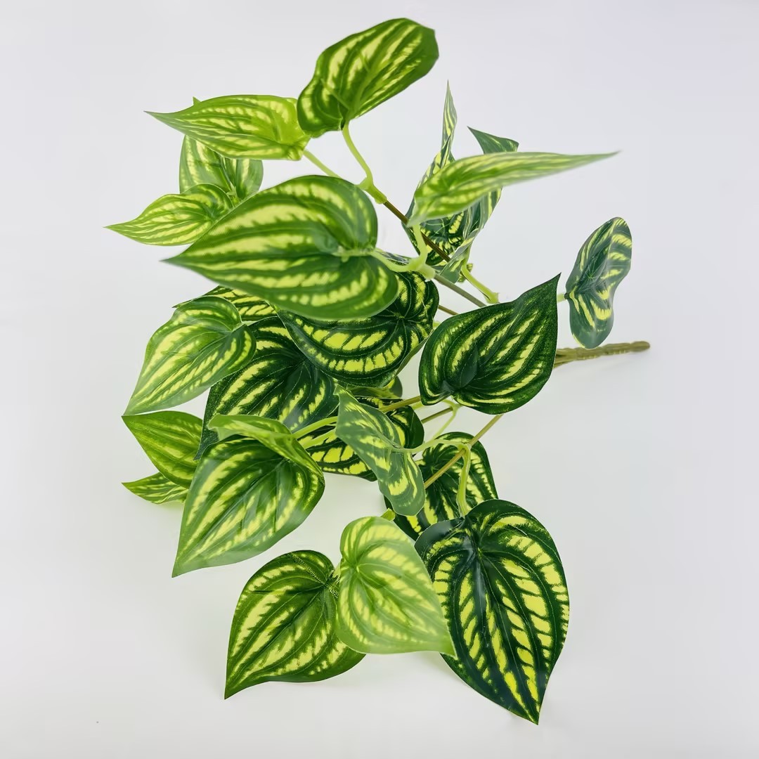 Watermelon Leaf