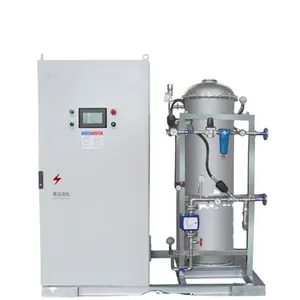 50g Ozonee generator for RO water treatment plant