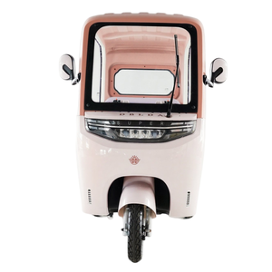 Vehículo Utilitario de Funcionamiento Silencioso, Triciclo para Patrullaje, Proyecciones de Cine al Aire Libre, Scooter para Alquiler Turístico - Product Image 1
