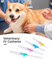 2024 nouveauté jetable Animal Pet IV canule aiguille pour chien et chat