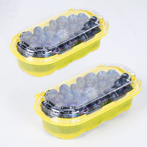 Bán Buôn Dùng Một Lần Nhựa Thực Phẩm Cấp Pet 250G Có Thể Tái Chế Trái Cây Tươi Blueberry <span class=keywords><strong>Raspberry</strong></span> Bao Bì Hộp - Product Image 6