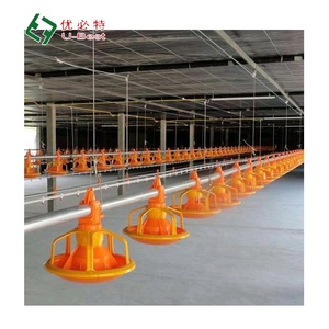 Bonne qualité automatique élevage d'animaux élevage <span class=keywords><strong>poulet</strong></span> <span class=keywords><strong>de</strong></span> <span class=keywords><strong>chair</strong></span>/équipement <span class=keywords><strong>de</strong></span> <span class=keywords><strong>race</strong></span> volaille mangeoires et abreuvoirs <span class=keywords><strong>poulet</strong></span> - Product Image 6