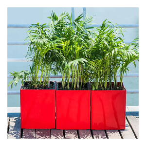 Chất Lượng Cao Lớn Nhựa Nhà Máy Trồng Bền Vuông Trang Trí Trồng Vườn Ngoài Trời Chậu Hoa - Product Image 3