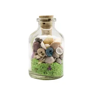 Décor de plage dans une bouteille Mini arrangement de sable et de coquillage Mini bocal en verre Petits cadeaux Party Favors
